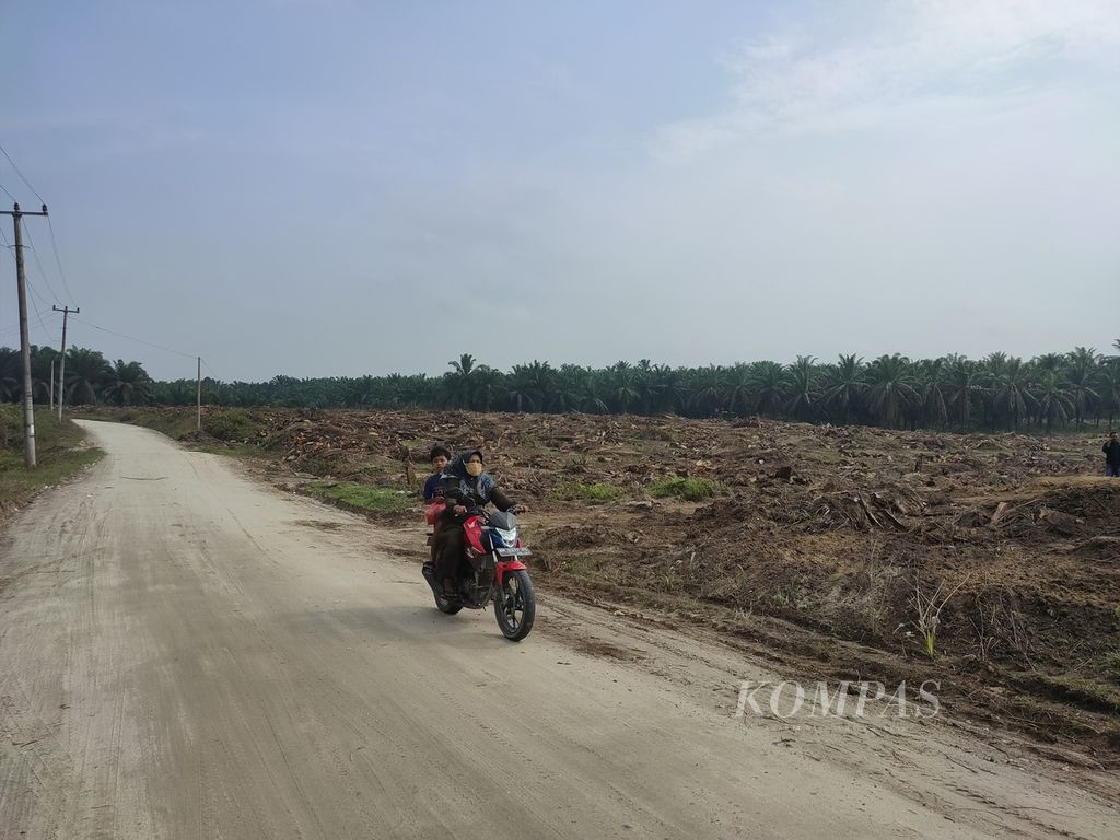 Seorang ibu membonceng anaknya melintasi areal Koperasi Berkat Ridho yang sudah dibersihkan untuk penanaman ulang dalam program Peremajaan Sawit Rakyat di Desa Kijang Makmur, Kecamatan Tapung Hilir, Kampar, Riau, Senin (18/9/2023).