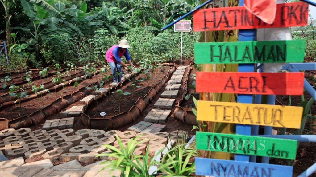 Warga memeriksa tanaman terong saat tim penilai Lomba Hatinya PKK Tingkat Nasional meninjau lapangan kebun warga RW 014, Kelurahan Larangan Selatan, Kecamatan Larangan, Tangerang, Banten, Senin (13/5/2019). 