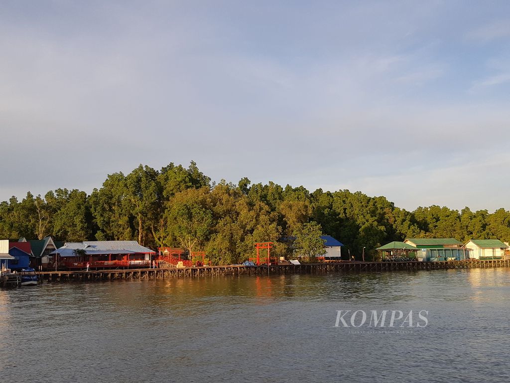Tutupan mangrove terlihat di salah satu pesisir Kota Tarakan, Kalimantan Utara, Minggu (21/5/2023).