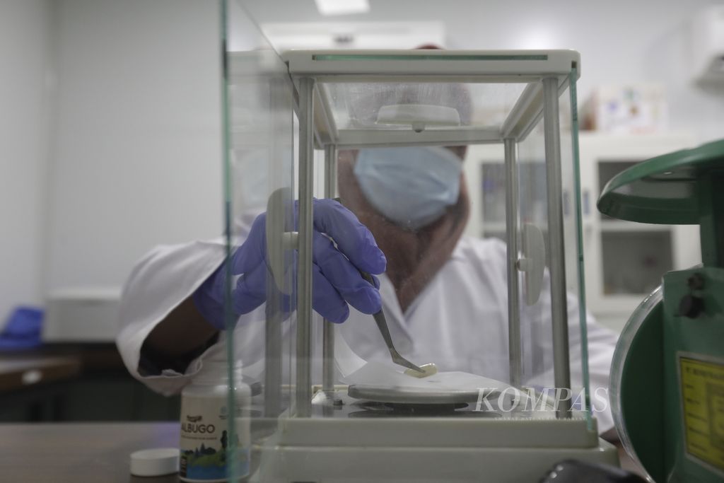 Peneliti laboratorium PT Alam Siak Lestari mengukur berat produk kapsul albumin dari ikan gabus sebagai tahap kontrol kualitas di kantor PT ASL Kabupaten Siak, Rabu (18/9/2024). 