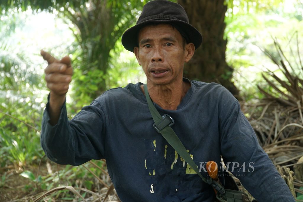 Herman ketika dijumpai di kebun sawit garapannya di Desa Talang Arah, Kecamatan Malin Deman, Kabupaten Mukomuko, Provinsi Bengkulu, Sabtu (3/6/2023). 