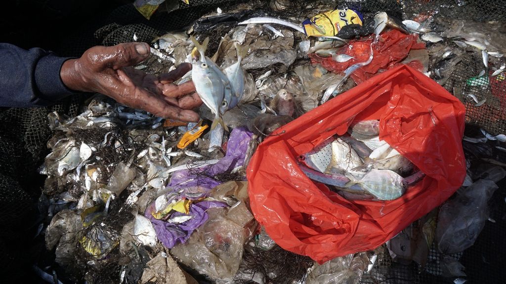 Ikan bercampur sampah hasil tangkapan nelayan di kawasan pesisir Kelurahan Sukaraja, Kecamatan Bumiwaras, Kota Bandar Lampung, Lampung, Jumat (13/9/2019). Banyaknya sampah plastik yang berasal dari rumah tangga ini berdampak pada menurunnya hasil tangkapan nelayan.