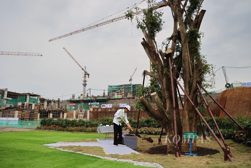 Presiden Joko Widodo menanam pohon beringin di Ibu Kota Nusantara (IKN) di Penajam Paser Utara, Kalimantan Timur, Jumat (22/9/2023).