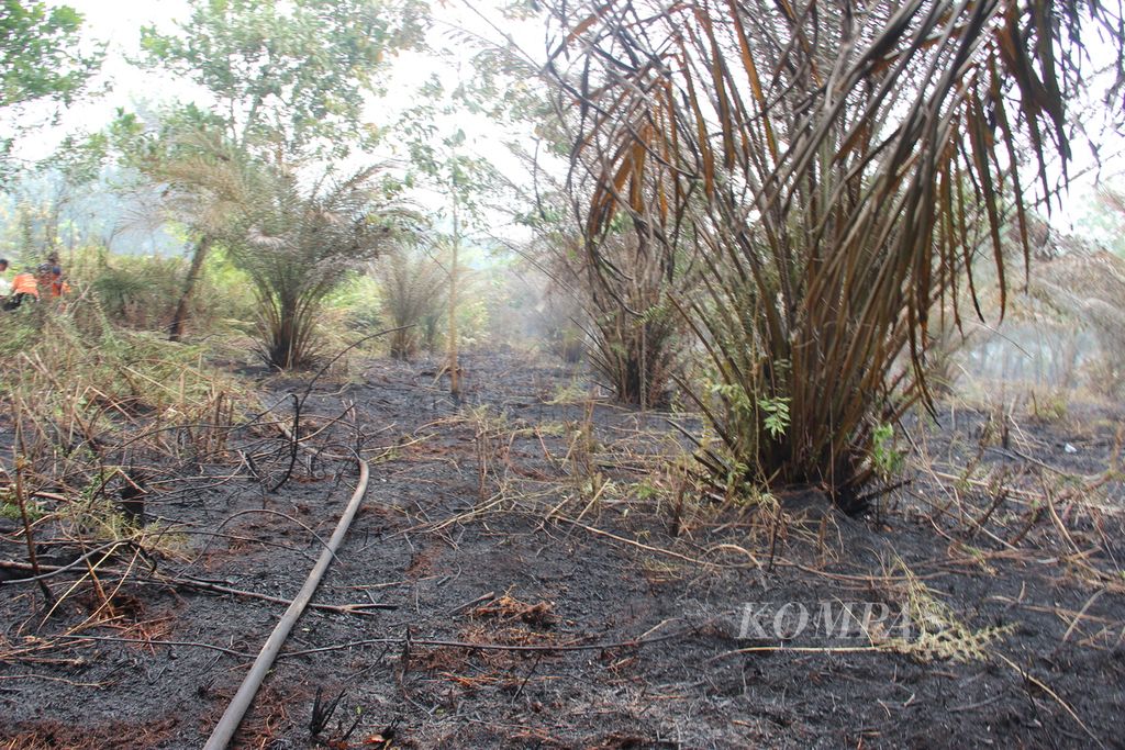 Salah satu lokasi kebakaran lahan di Kabupaten Kubu Raya, Kalimantan Barat, Selasa (26/9/2023).
