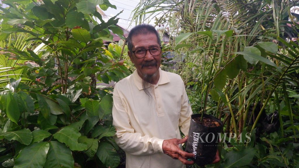 Bambang Karyanto (64), pegiat lingkungan, menunjukkan bibit tanaman buah hambawang atau bacang (<i>Mangifera foetida</i>) di pekarangan rumahnya di Banjarmasin, Kalimantan Selatan, Jumat (11/2/2022).