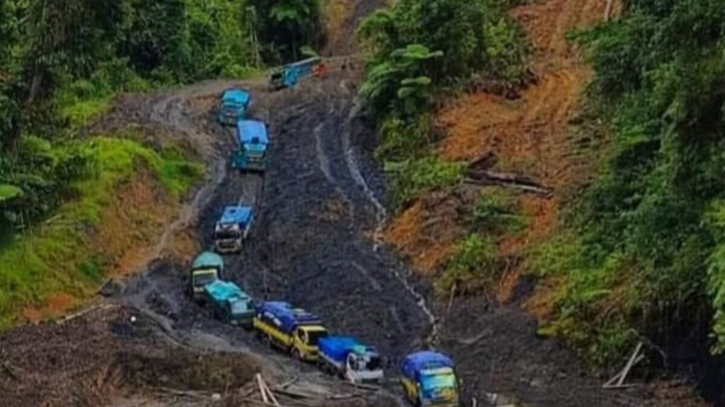 Tampak truk-truk yang terjebak di Jalan Trans-Papua ruas Jayapura-Wamena di Kabupaten Yalimo, Papua Pegunungan, sejak Desember 2022 hingga Februari 2023. Kondisi jalan yang berlumpur dan curah hujan tinggi menyebabkan banyak kendaraan terjebak.