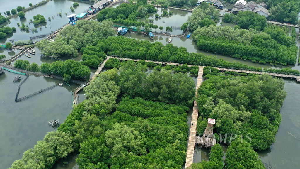 Foto udara hutan mangrove Jembatan Cinta di Kampung Paljaya, Desa Segara Jaya, Kecamatan Tarumajaya, Kabupaten Bekasi, Jawa Barat, Rabu (4/1/2023). 