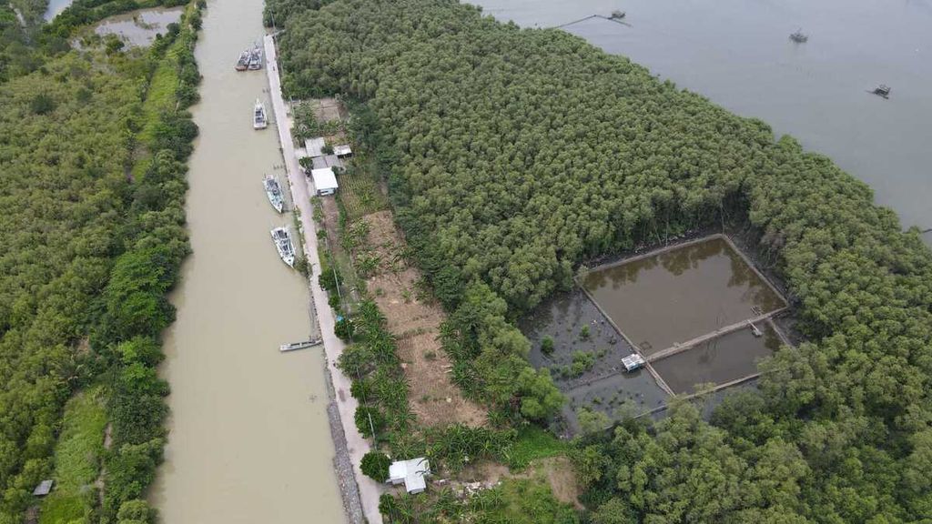 Penampakan kawasan mangrove yang dijadikan tambak udang di Kelurahan Kota Karang, Kecamatan Teluk Betung Timur, Kota Bandar Lampung, 