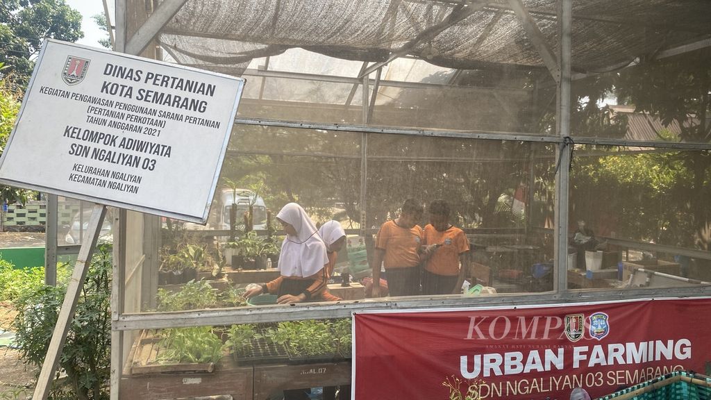 Suasana <i>green house</i> di kebun pertanian urban SD Negeri Ngaliyan 03 Kota Semarang, Jawa Tengah, Jumat (25/8/2023). 