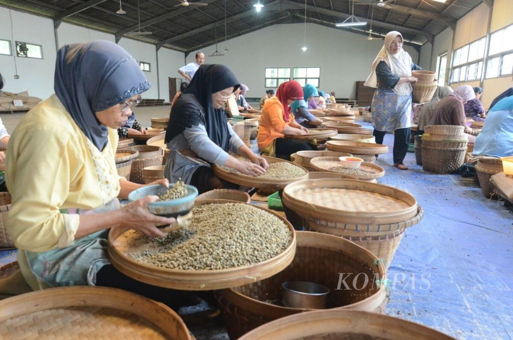 Perempuan pekerja tengah melakukan sortasi biji kopi kering di ruang <i>masson</i> pabrik kopi Banaran milik PTPN IX jawa Tengah, di Jambu, Kabupaten Semarang.