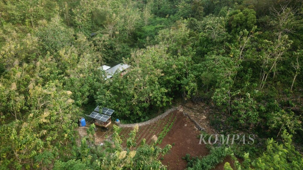  Areal sekitar mulut Goa Pulejajar, Desa Jepitu, Girisubo, Gunung Kidul, DI Yogyakarta, terlihat dari udara, Kamis (14/7/2022).