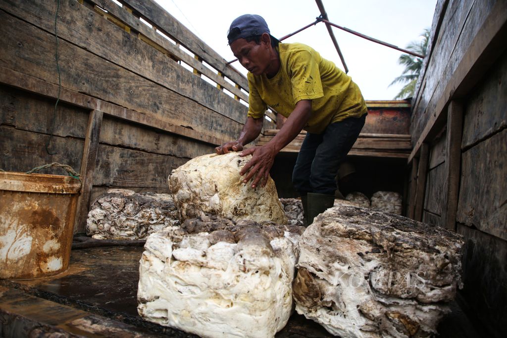 Pengepul memuat bokar karet yang dibeli dari petani di Desa Cahaya Mas, Mesuji Makmur, Kabupaten Ogan Komering Ilir, Sumatera Selatan, Rabu (03/01/2024). Harga karet di tingkat petani mencapai Rp 9.000 per kilogram.