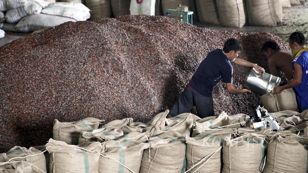 Pekerja mengemas biji kakao di Kawasan Industri Makassar, Sulawesi Selatan, beberapa waktu yang lalu.