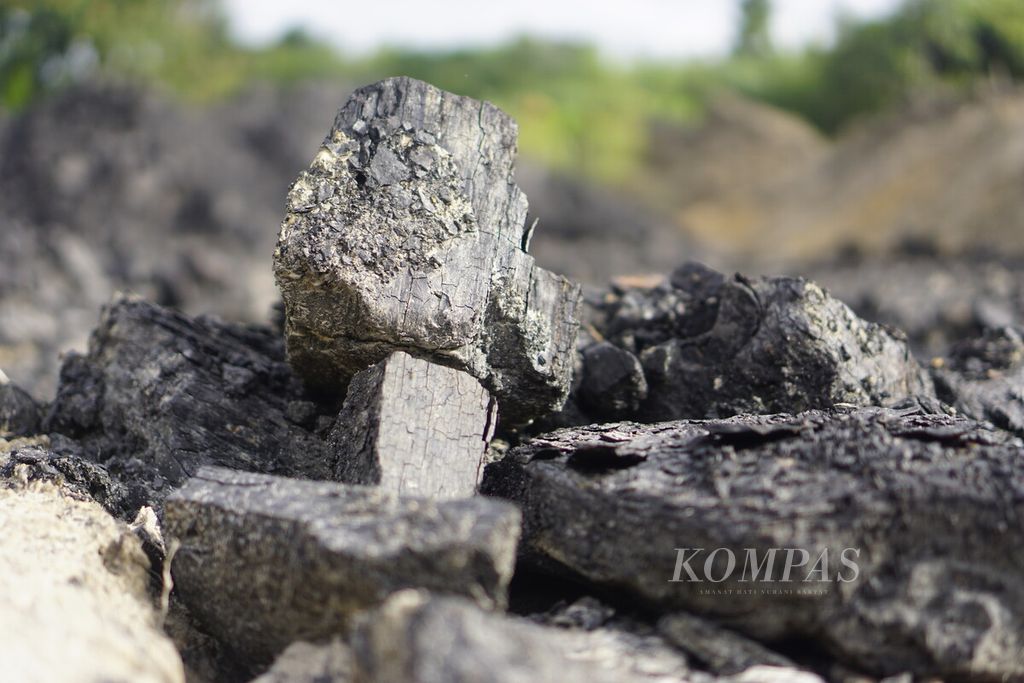 Bongkahan batubara di lokasi penambangan batubara di Kalimantan Timur, Selasa (16/11/2021).