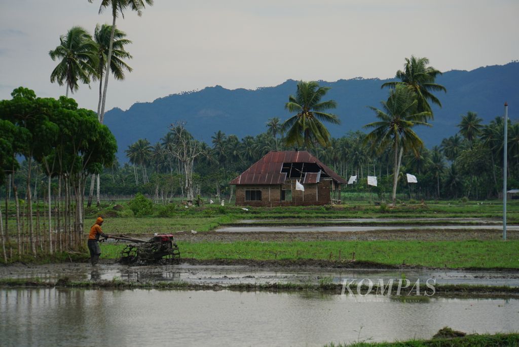 Petani membajak sawah di Limboto, Kabupaten Gorontalo, Provinsi Gorontalo, Rabu (29/11/2023). Lebih dari 38 persen perekonomian Provinsi Gorontalo bertumpu pada sektor pertanian, kehutanan, dan perikanan.