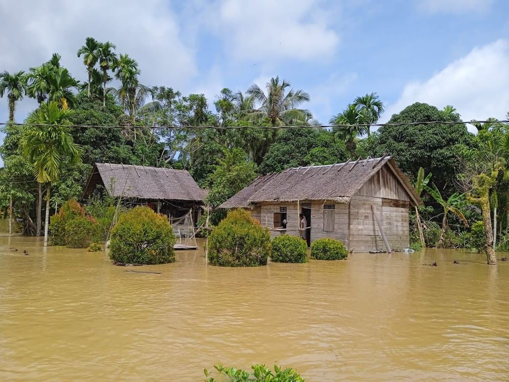 Warga berdiam di rumahnya yang tergenang banjir di Desa Sigapokna, Kecamatan Siberut Barat, Kabupaten Kepulauan Mentawai, Sumatera Barat, Senin (14/10/2024).