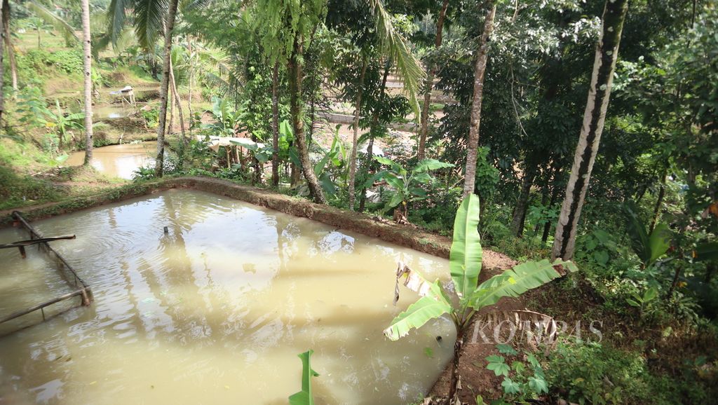 Potret salah satu kolam di Kampung Nila Kawali di Dusun Banjarwaru, Desa Kawali, Kecamatan Kawali, Kabupaten Ciamis, Jawa Barat, Kamis (16/2/2023). 