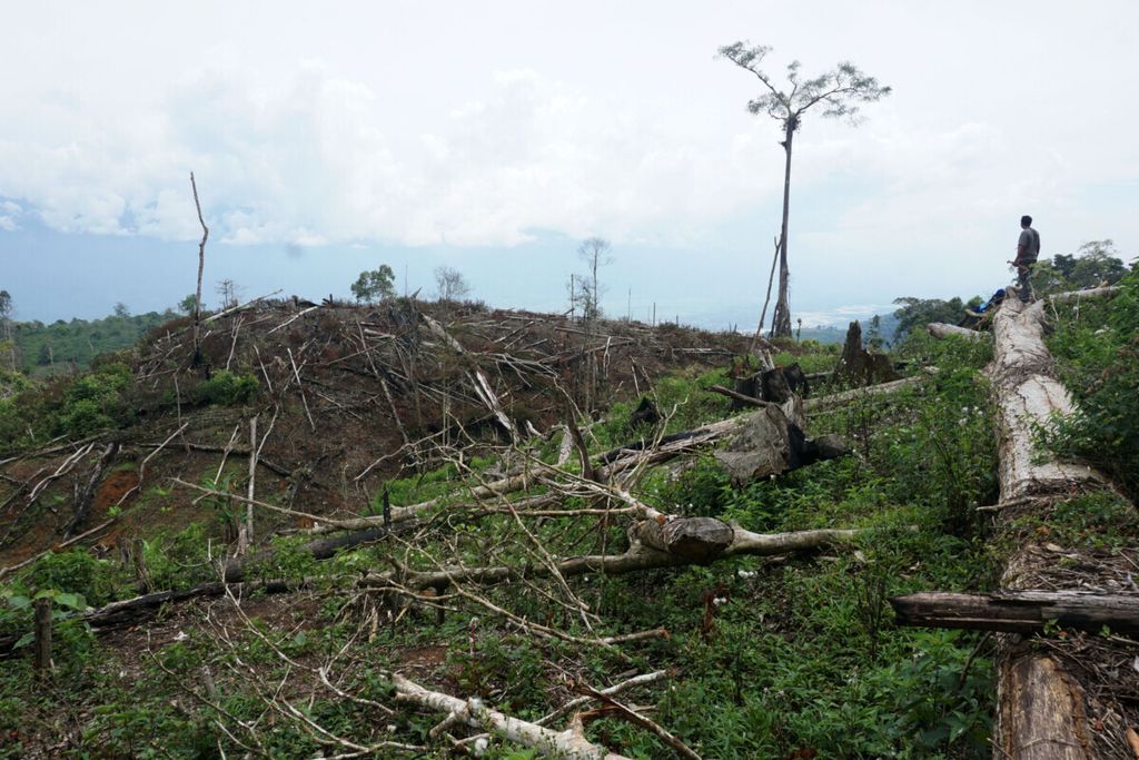 Salah satu lokasi perambahan di dalam Taman Nasional Gunung Leuser di Kabupaten Aceh Tenggara, Provinsi Aceh, Senin (4/2/2019). Perambahan dilakukan oleh warga untuk dijadikan lahan perkebunanan. Catatan Yayasan Hutan Alam Lingkungan Aceh (HAkA) pada 2018, TNGL kehilangan tutupan hutan seluas 807 hektar.