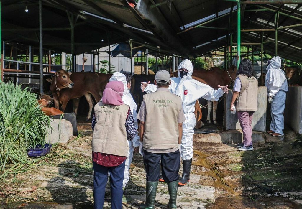 Satgas PMK serta Dinas Ketahanan Pangan dan Pertanian (DKPP) Kota Bogor, Selasa (21/6/2022), memeriksa kesehatan sapi di Rumah Pemotongan Hewan (RPH) Bubulak. Hingga Selasa, tercatat total ada 184 sapi terkonfirmasi PMK.