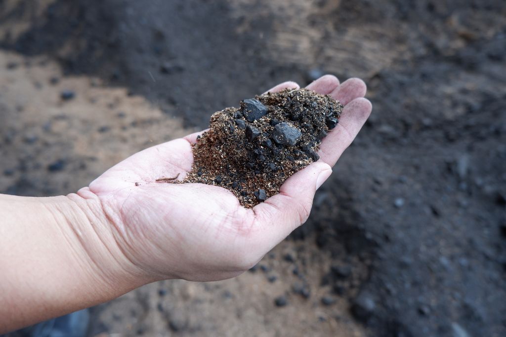 Campuran batubara dengan serbuk kayu ditunjukkan di area<i> coal yard</i> Pembangkit Listrik Tenaga Uap (PLTU) Jeranjang di Desa Taman Ayu, Kecamatan Gerung, Kabupaten Lombok Barat, NTB, Senin (11/10/2021). Sejak akhir 2020, PLN UIW NTB mulai mendorong penggunaan biomassa seperti sampah dan serbuk kayu sebagai substitusi batubara di PLTU Jeranjang.