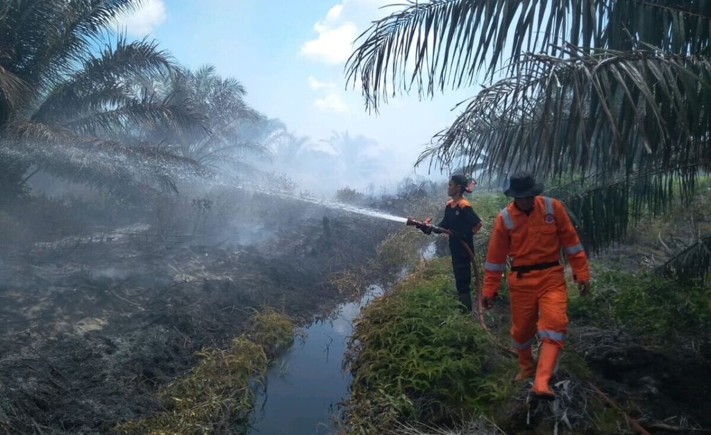 Petugas memadamkan kebakaran lahan gambut di kebun sawit warga di Nagari (Persiapan) Durian Kapeh, Kecamatan Tanjung Mutiara, Kabupaten Agam, Sumatera Barat, Sabtu (13/2/2021).