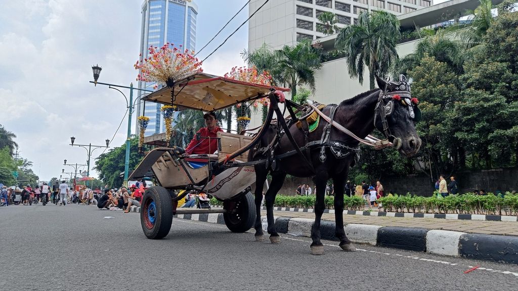 Kusir delman menunggu penumpang di Jalan MH Thamrin, Jakarta, saat hari bebas kendaraan bermotor (HBKB), Minggu (16/10/2022). Selain anjing, HBKB juga diramaikan oleh kucing dan burung yang dibawa pengunjung serta kuda yang dipakai untuk transportasi delman.