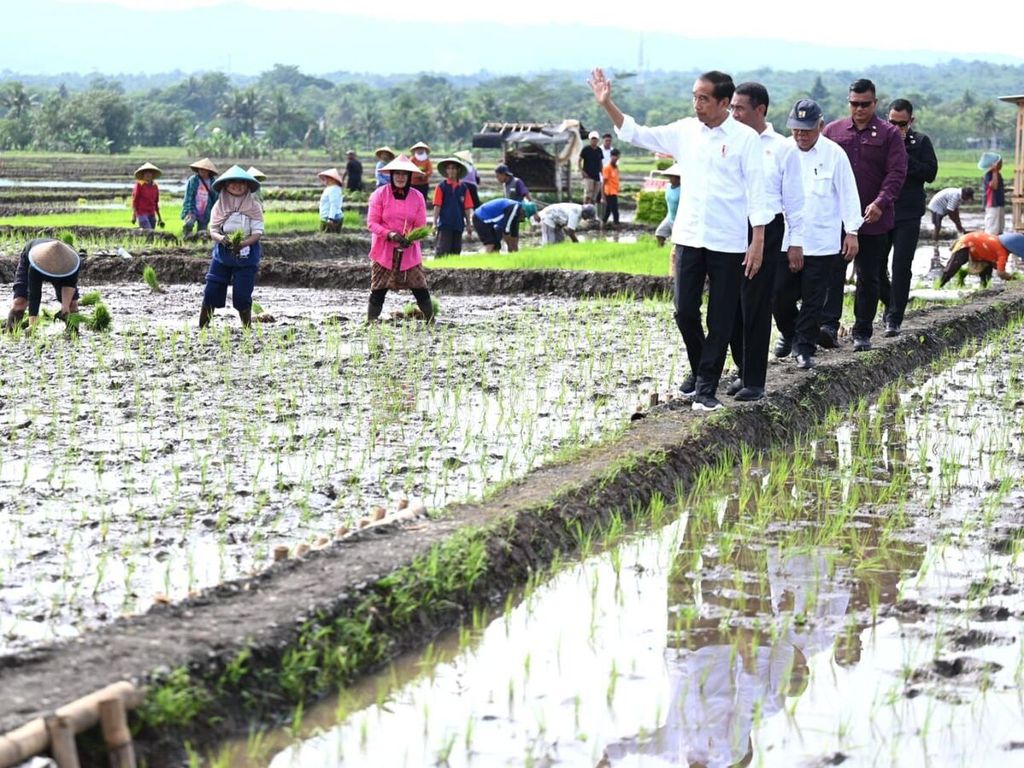 Presiden Joko Widodo menyapa petani saat peninjauan kegiatan tanam padi di Kecamatan Kalibagor, Kabupaten Banyumas, Provinsi Jawa Tengah, Rabu (3/1/2024).
