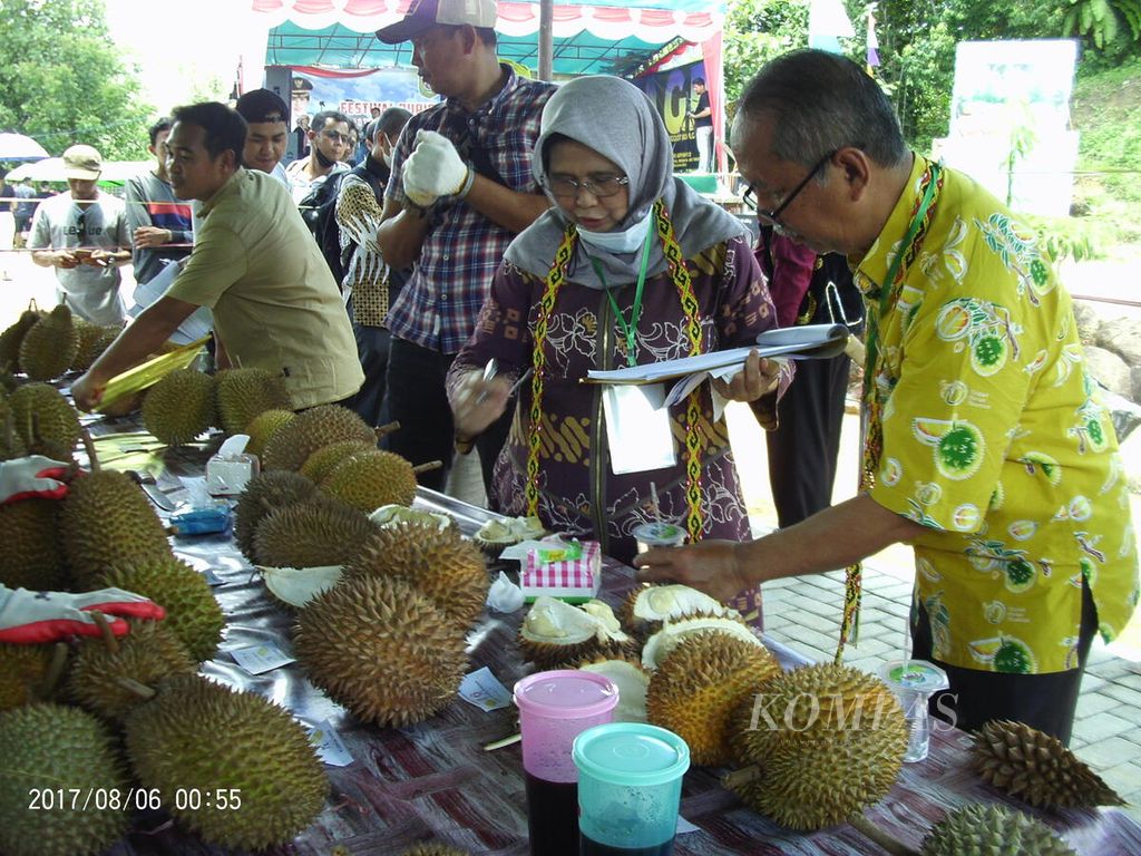 Dewan juri yang juga tim ekspedisi dan eksplorasi durian unggul Kalimantan Barat melakukan penilaian dalam Festival Durian di Kecamatan Singkawang Timur, Kota Singkawang, Kalimantan Barat, Sabtu (24/9/2022).