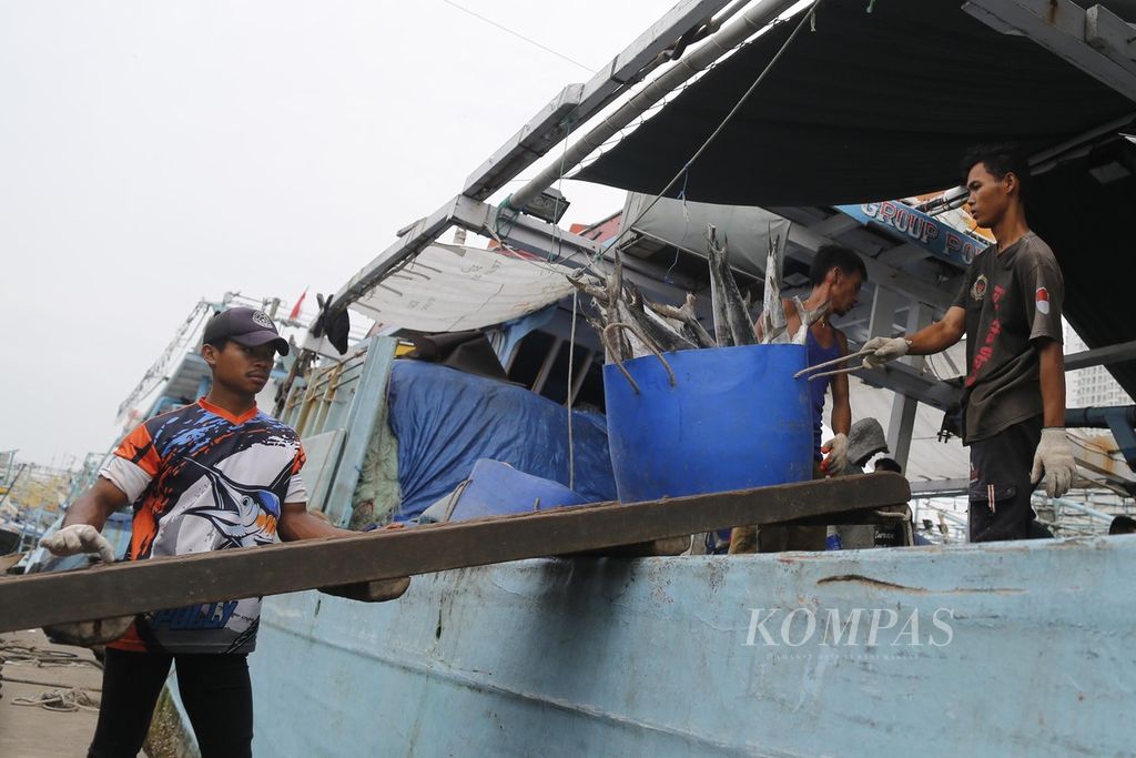 Buruh membongkar ikan yang ditangkap di kawasan perairan Papua di Pelabuhan Muara Angke, Jakarta, Minggu (3/12/2023). 