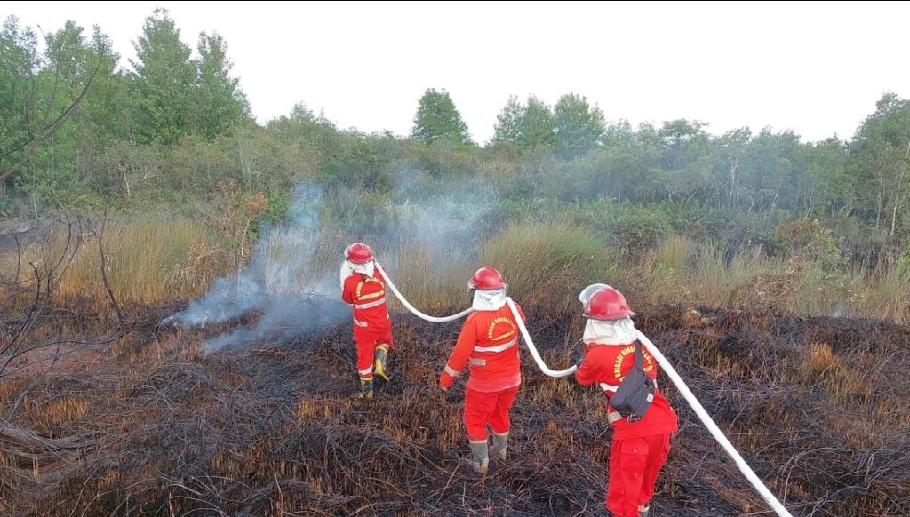 Petugas Manggala Agni memadamkan api di kawasan konsesi sebuah perusahaan di Kecamatan Pemulutan Barat, Kabupaten Ogan Ilir, Sumatera Selatan, Rabu (1/2/2023). Akibat peristiwa ini, sekitar 1,5 hektar lahan gambut terbakar.