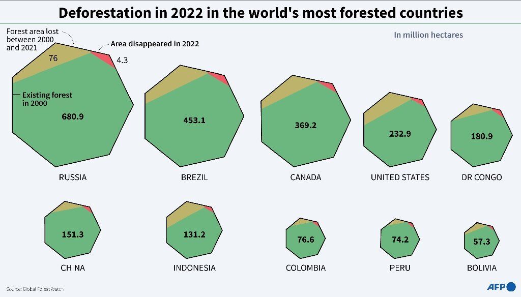 Grafik yang menunjukkan luas hutan dan yang hilang pada tahun 2000 hingga 2021 dan pada  2022 di sepuluh negara dengan kawasan hutan terbanyak. Sumber: Global Forest Watch- WRI