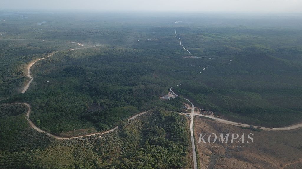 Hamparan lahan hutan tanaman industri yang dikelola oleh PT ITCI Hutani Manunggal di Kecamatan Sepaku, Kabupaten Penajam Paser Utara, Kalimantan Timur, Rabu (28/8/2019). Pemerintah berencana membangun ibu kota baru di kawasan itu.