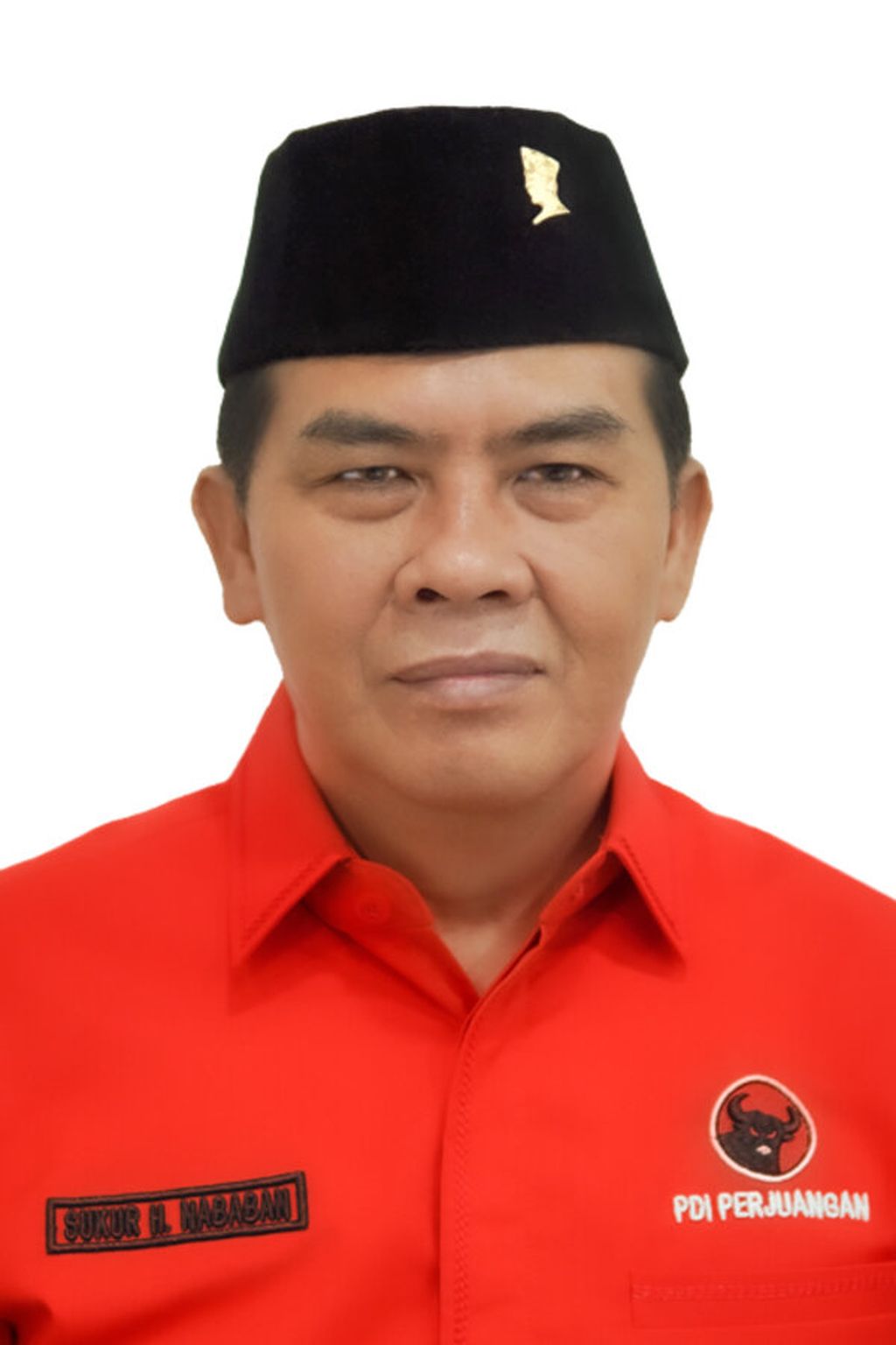 Sukur Nababan, caleg PDI-P di Dapil Jawa Barat VI. 