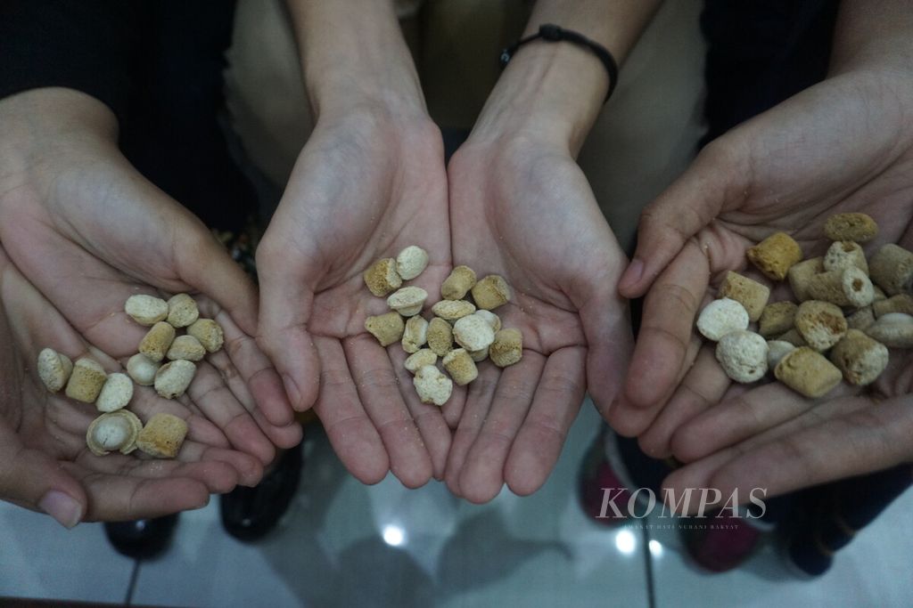 Mahasiswa Universitas Jenderal Soedirman (Unsoed) menunjukkan BESt Balls dari tongkol jagung sebagai pengganti <i>styrofoam </i>dan plastik <i>wrap bubble </i>di Purwokerto, Banyumas, Jawa Tengah, Senin (27/3/2023).
