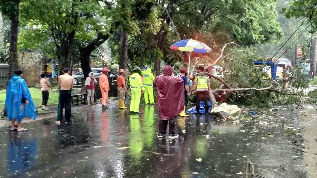 Petugas mengevakuasi korban dan dahan pohon yang patah di Jalan Mayjen Sungkono, Kota Malang, Jawa Timur, Kamis (11/11/2022)