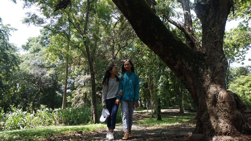 Pengunjung dari kalangan perempuan remaja berjalan melintasi pohon juwet atau jamblang yang merupakan koleksi tertua Kebun Raya Purwodadi, Pasuruan, Jawa Timur, Minggu (2/2/2020). 
