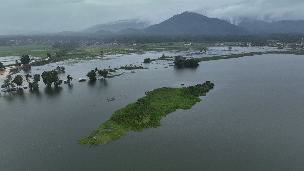 Pulau terapung seluas lebih dari 1 hektar yang hanyut di Danau Kerinci sampai di Desa Koto Tengah Seleman, Kecamatan Danau Kerinci, Kabupaten Kerinci, Jambi, Rabu (17/1/2024). 