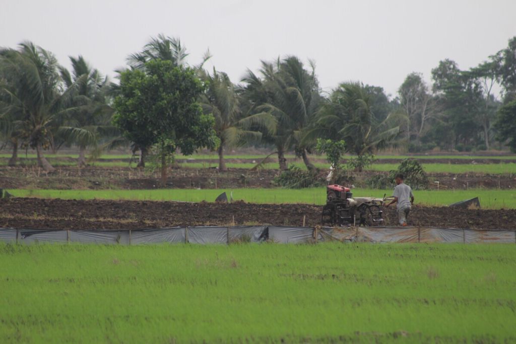 Seorang petani menggarap lahan sawah di Kecamatan Muara Sugihan, Kabupaten Banyuasin, Sumatera Selatan, Selasa (7/12/2021). Sebagai provinsi penghasil beras Sumsel masih dilanda data lahan baku sawah yang timpang.