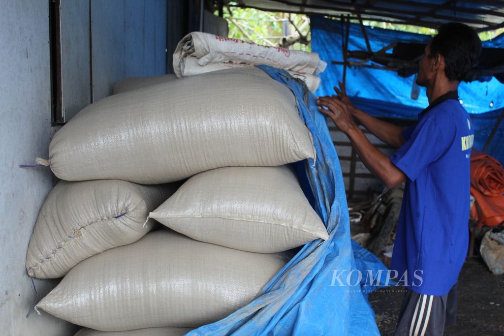 Herianto (48), petani asal Desa Belanti Siam, Kabupaten Pulang Pisau, Kalimantan Tengah, menunjukkan gabah pascapanen di rumahnya dengan hasil memuaskan tahun ini, Senin (8/4/2024).