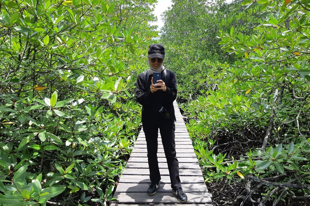 Pengunjung berdiri di atas jembatan yang dikelilingi pohon bakau di wisata hutan mangrove Desa Mentawir, Kecamatan Sepaku, Penajam Paser Utara, Kalimantan Timur, Minggu (18/9/2022).