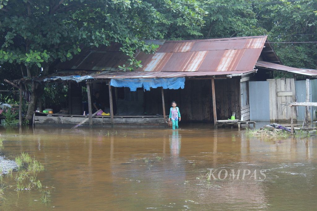Seorang anak di Desa Pararapak, Kabupaten Barito Selatan, Kalteng, melintas di tengah banjir yang mengepung rumahnya, Jumat (26/1/2024). Warga tidak mengungsi dan memilih menjaga rumah mereka karena terlalu sering dihajar banjir.