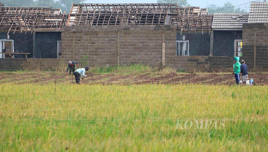 Buruh tani menggarap sawah yang dikepung proyek perumahan baru di daerah Tanjungpura, Karawang, Selasa (28/1/2014). Berkembangnya kawasan indsutri di Karawang turut memicu pertumbuhan kawasan permukiman baru yang mengkonversi lahan pertanian.