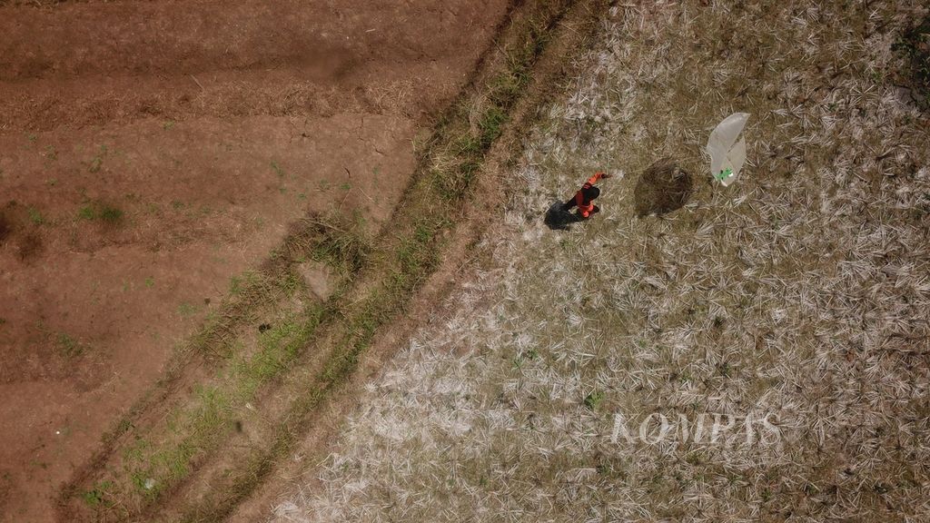 Anak-anak bermain di lahan sawah yang kering akibat kemarau di Desa Krincing, Secang, Magelang, Jawa Tengah, Jumat (25/8/2023). Kemarau mengakibatkan sejumlah lahan sawah yang hanya menggunakan sistem tadah hujan menjadi tidak produktif. Petani berharap musim kemarau segera berakhir agar mereka dapat memanfaatkan lahan mereka kembali.