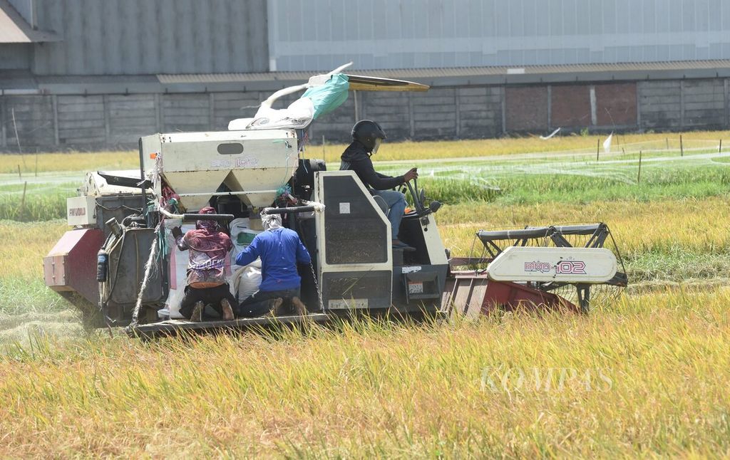 Pekerja menyiapkan karung untuk gabah saat panen padi menggunakan mesin pemanen padi di tengah musim kemarau di Sidoarjo, Jawa Timur, Senin (4/9/2023). Kementerian Pertanian memperkirakan, kemarau akibat El Nino dapat menurunkan produksi beras tahun ini sebanyak 380.000 ton hingga 1,2 juta ton.