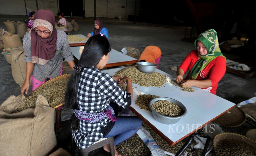 Buruh perempuan menyortir biji kopi kering jenis robusta di gudang pengolahan kopi di kawasan Way Laga, Bandar Lampung, Lampung, Kamis (8/2/2018). Saat masa panen tiba jumlah buruh perempuan yang bekerja lepas untuk menyortir kopi akan bertambah.