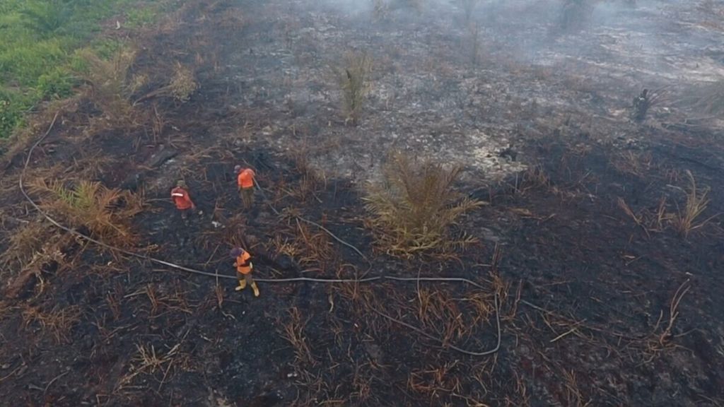 Kebakaran lahan di areal kebun kelapa sawit PT Wahana Subur Sawit Indah di Kampung Sri Gemilang, Kecamatan Koto Gasib, Siak, Jumat (26/7/2019).