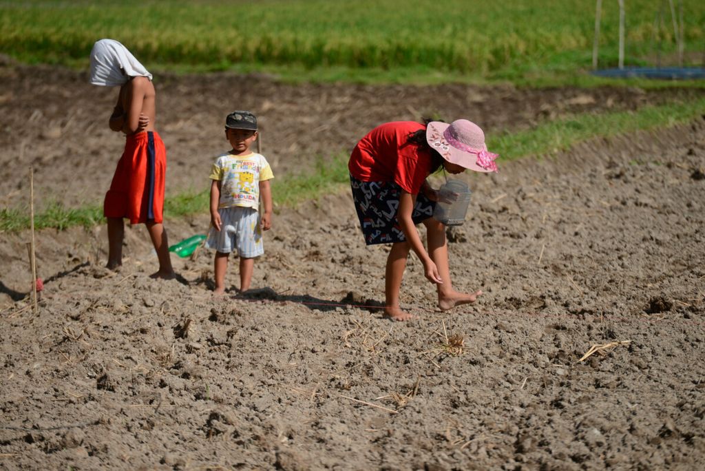 Anak-anak yang bermain dan membantu orangtua mereka di lahan pertanian di Desa Bligo, Kecamatan Ngluwar, Kabupaten Magelang, Jawa Tengah, Sabtu (24/7/2020). Kehidupan agraris menjadi bagian dari perjalanan mereka sebagai anak petani.