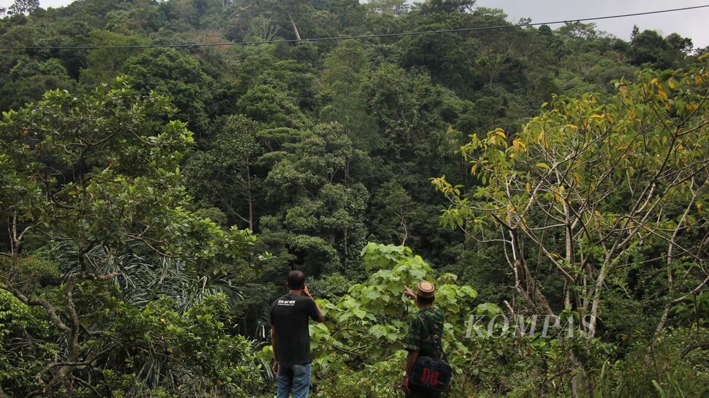 Imum Mukim Beungga, Ilyas (memakai peci), menunjukkan kawasan hutan lindung di Kecamatan Tangse, Kabupaten Pidie, Provinsi Aceh, yang akan diusulkan sebagai hutan adat, Selasa (14/2/2023).