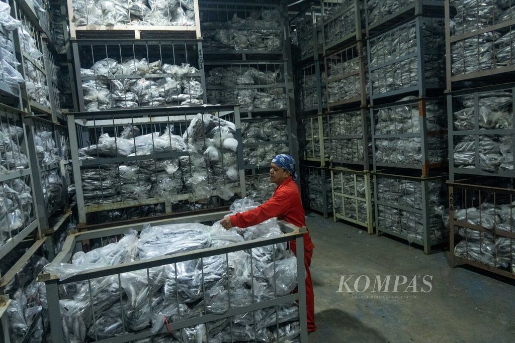 Pekerja menata ikan di gudang <i>cold storage</i> PT Hasil Laut Sejati di Pulau Setokok, Batam, Kepulauan Riau, Selasa (21/2/2023).