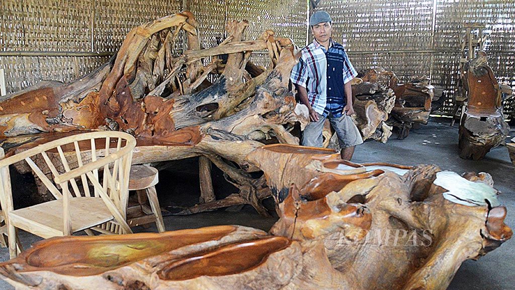 Di tahun 1995, mebel dari akar dan tunggak (bonggol) kayu jati tua, di tangan perajin mebel Mulyaharjo, Kabupaten Jepara, Jawa Tengah, menjadi populer. Kini, mebel meja, kursi, dan kursi malas dari akar dan bonggol jati buatan Purwono, beberapa waktu lalu, banyak dipasarkan ke Jakarta dan diekspor ke sejumlah negara di Eropa.